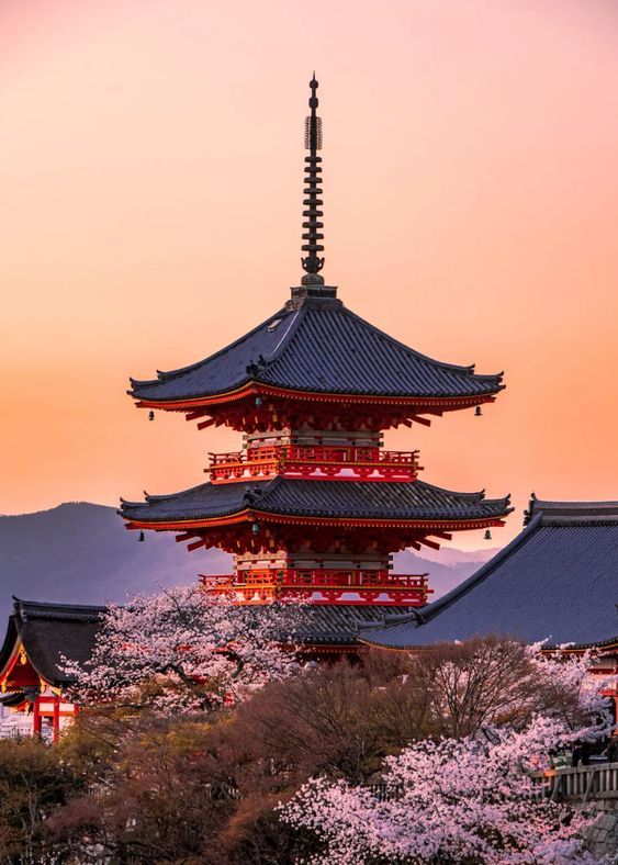 Kyoto Culture Journey